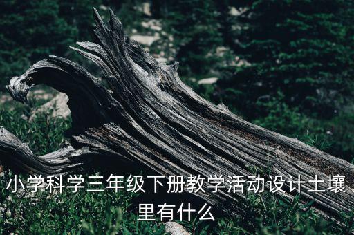 小学科学三年级下册教学活动设计土壤里有什么