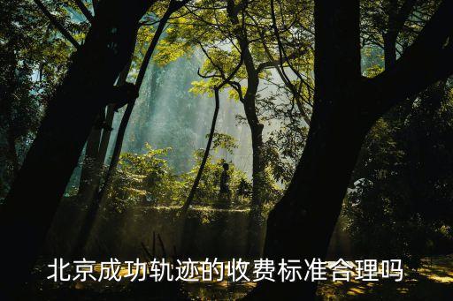 北京成功轨迹画室收费标准，北京成功轨迹画室今年规模
