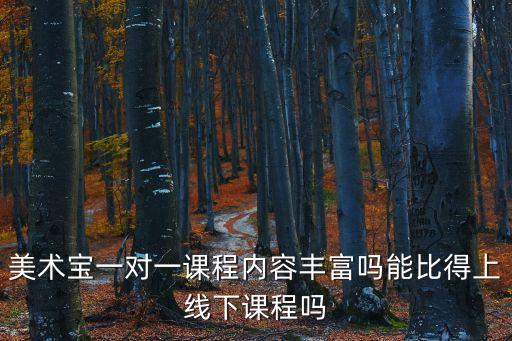 美术宝一对一课程内容丰富吗能比得上线下课程吗