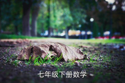 七年级下册数学