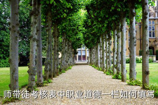 教师师德考核登记表填写范本，教师的年度考核工作登记表怎么填