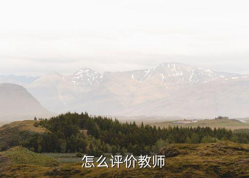 教师的评价，怎么评价教师