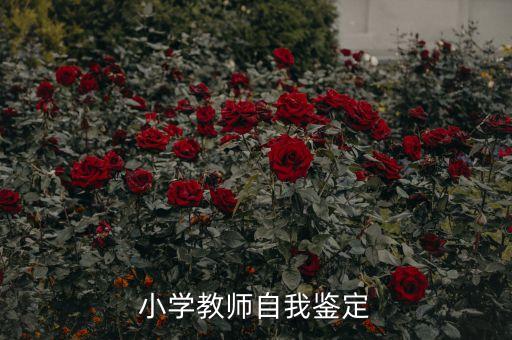 小学教师自我鉴定