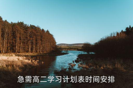 急需高二学习计划表时间安排