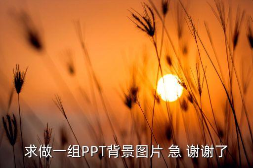 求做一组PPT背景图片 急 谢谢了