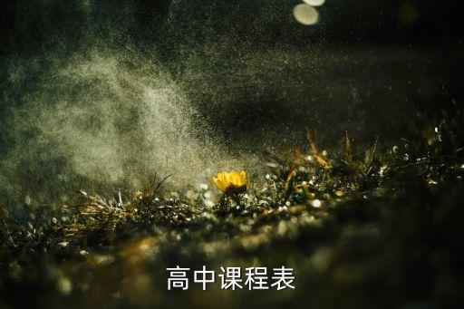 课程表图片模板高中，高一各科教科书的样子并模拟高一的一张课程表