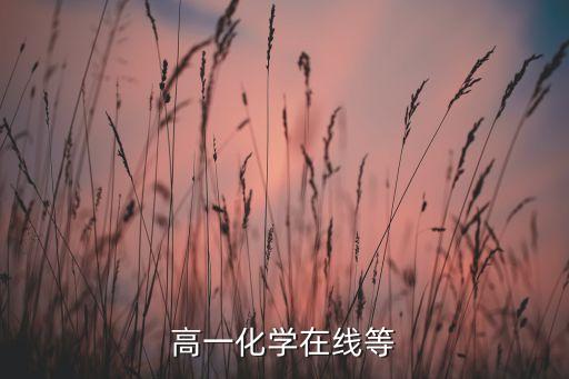 高一化学在线等
