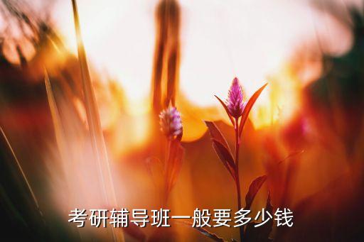 考研辅导班一般要多少钱