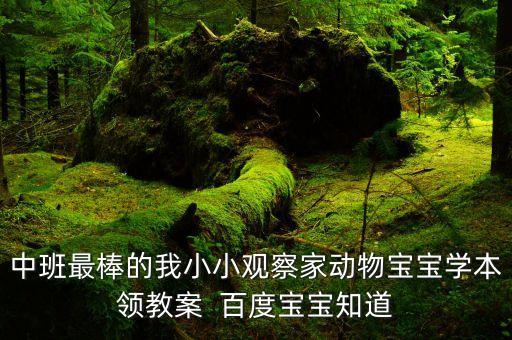 中班最棒的我小小观察家动物宝宝学本领教案  百度宝宝知道