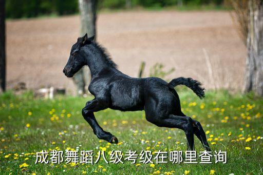 成都舞蹈八级考级在哪里查询