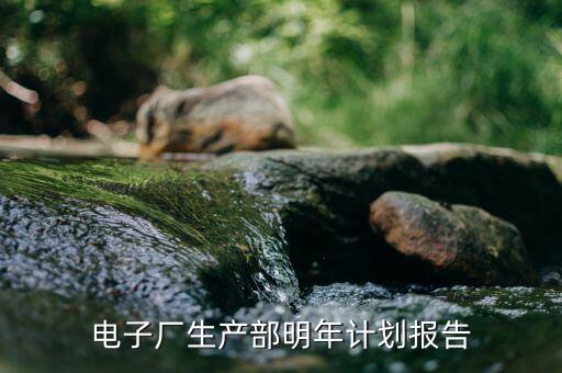 电子厂生产部明年计划报告