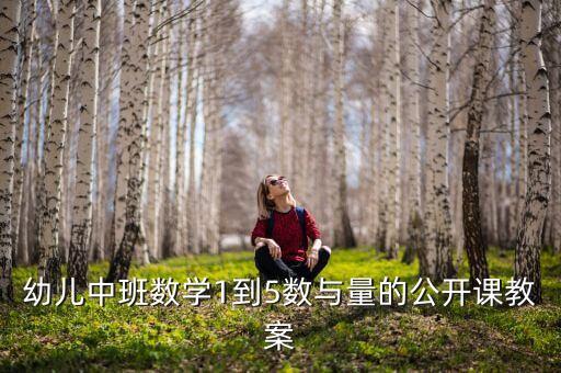 幼儿中班数学1到5数与量的公开课教案
