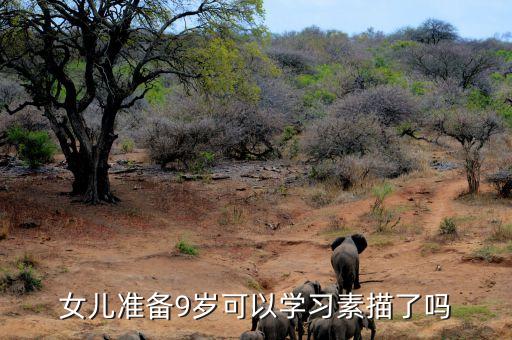 9岁学素描后悔了，为什么儿童不宜太早学素描