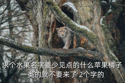 求个水果名字要少见点的什么苹果橘子一类的就不要来了 2个字的