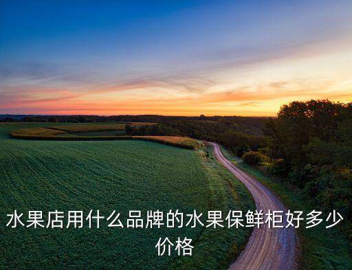 水果店用什么品牌的水果保鲜柜好多少价格