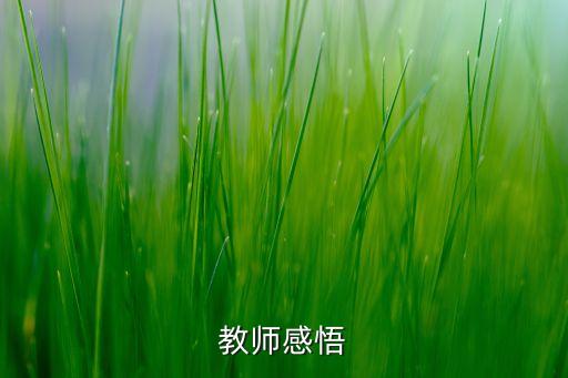 教师感悟