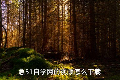急51自学网的视频怎么下载