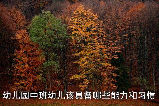 幼儿园中班幼儿该具备哪些能力和习惯