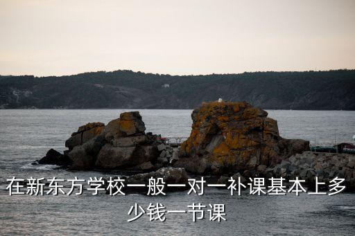 在新东方学校一般一对一补课基本上多少钱一节课