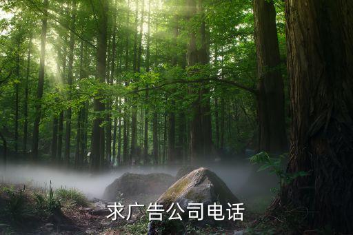 广告公司联系方式，旅游专版广告代理公司电话多少