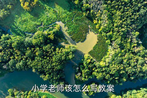 小学老师该怎么写教案