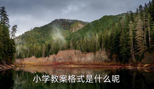 小学教案格式是什么呢