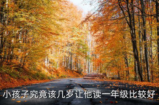 小孩子究竟该几岁让他读一年级比较好