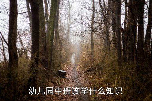 幼儿园中班该学什么知识
