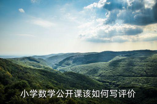 小学数学公开课该如何写评价