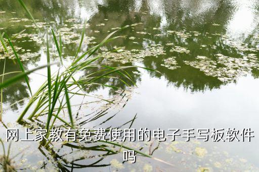 网上家教有免费使用的电子手写板软件吗