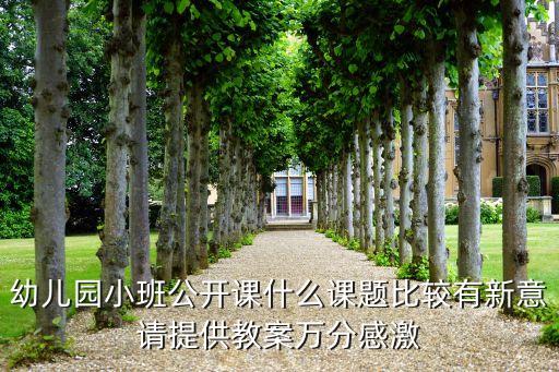 幼儿园小班公开课什么课题比较有新意请提供教案万分感激