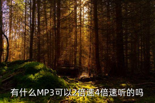 有什么MP3可以2倍速4倍速听的吗