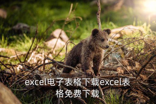 表格模板大全图 电子版，电子表格Excel