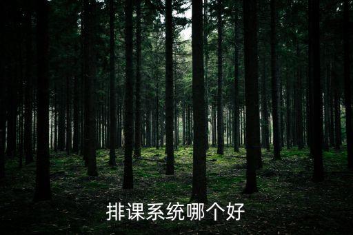 排课系统哪个好