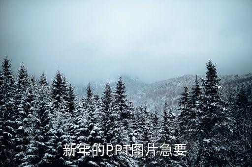 幼儿园年会ppt图片，求幼儿教育ppt模板