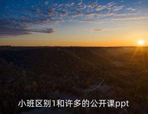 小班区别1和许多的公开课ppt