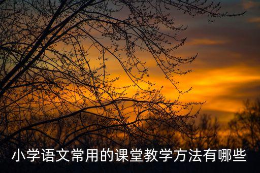 小学语文常用的课堂教学方法有哪些