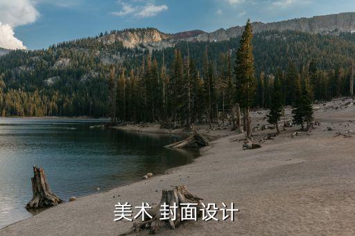 美术作品集封面设计二年级，个人作品集封面及封底设计