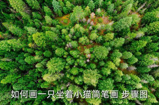 如何画一只坐着小猫简笔画 步骤图