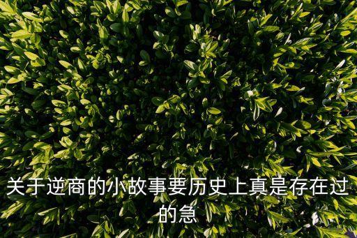 关于逆商的小故事要历史上真是存在过的急