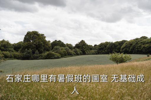 石家庄哪里有暑假班的画室 无基础成人