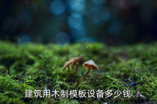 建筑用木制模板设备多少钱