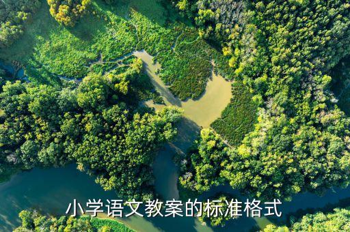 小学语文教案的标准格式
