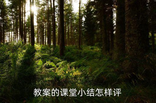 教案检查情况反馈小结，教案的课堂小结怎样评