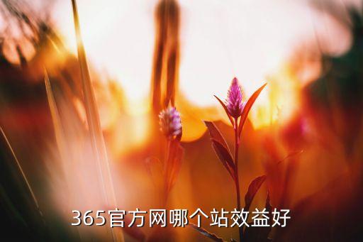 365官方网哪个站效益好