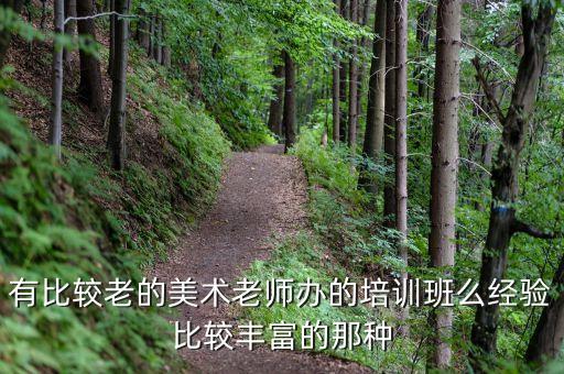 有比较老的美术老师办的培训班么经验比较丰富的那种
