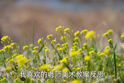 我喜欢的老师美术教案反思