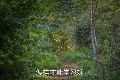 怎样才能学习好