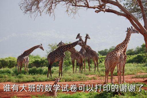谁有大班的数学试卷可以打印的谢谢了