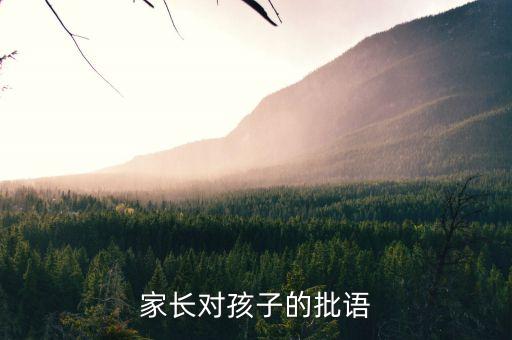 家长对孩子的批语